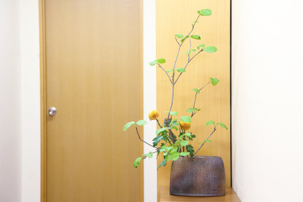 插花与鲜花图片下载