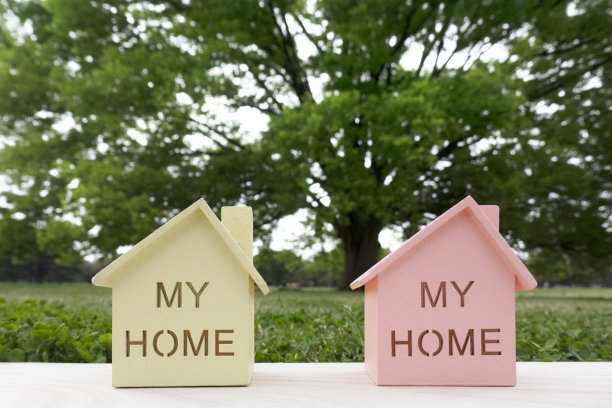 微型房屋和植物。图片下载