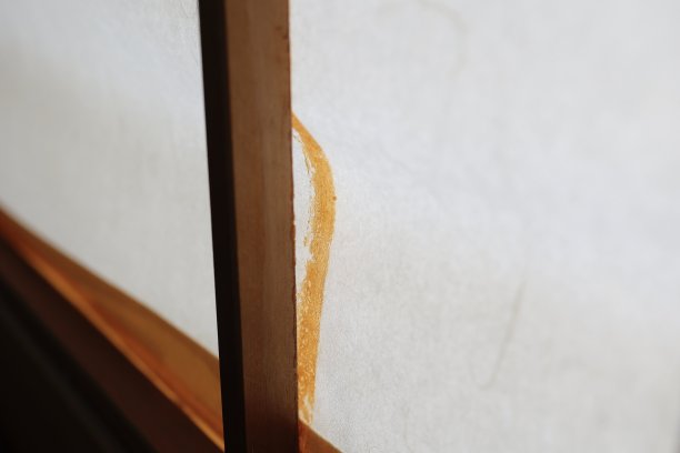 shoji脱落图片下载