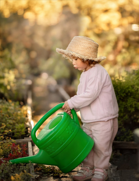 孩子在温室里给植物浇水。图片下载