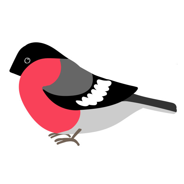 森林鸟类欧亚红腹灰雀图片下载