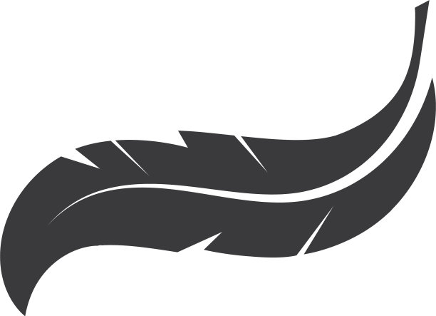 羽毛图标模板图片下载