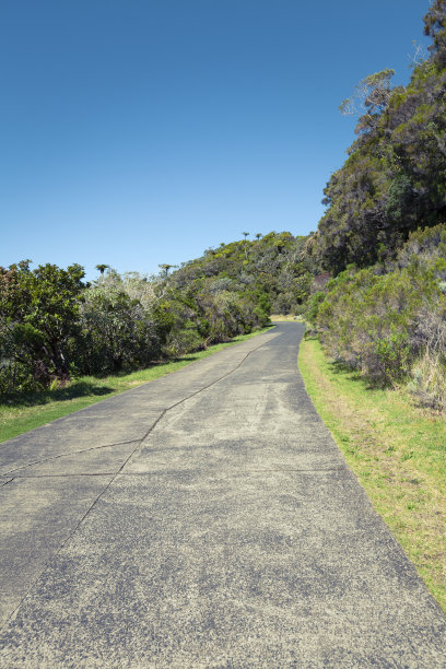 乡村路，留尼旺岛图片下载