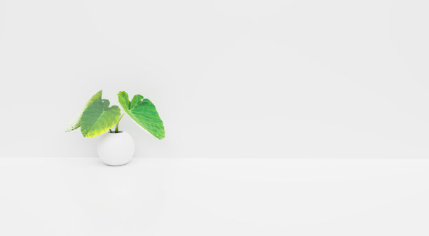 工作空间有小树的洁净室图片下载