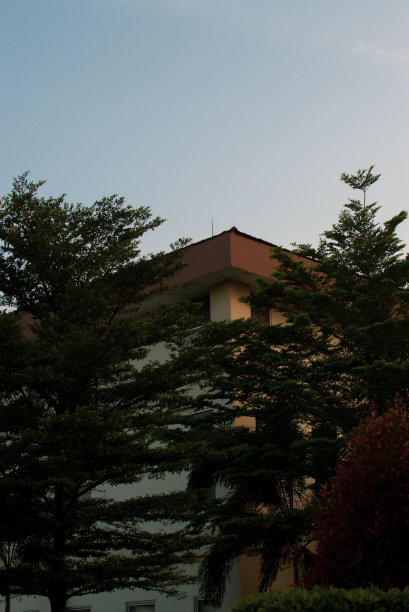 树木覆盖的建筑物图片下载