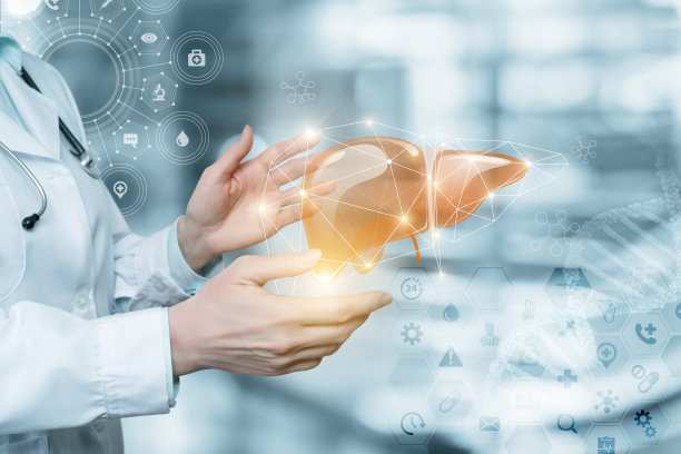 对患者肝脏的治疗、诊断和支持的概念。图片下载