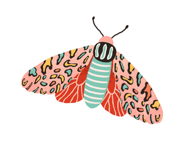 华丽的夜蝴蝶，有着明亮的翅膀和图片下载