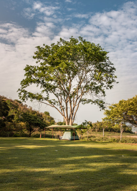 在日落或日出的时候，在树林里的营地里，在美丽的大树下，在干燥的地面上搭有遮阳篷的野营帐篷。图片下载