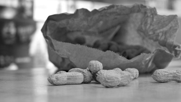 桌上的花生(Pesaro, Marche，意大利，欧洲)图片下载