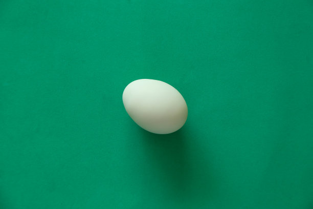 绿色表面上的浅蓝色鸡蛋图片下载