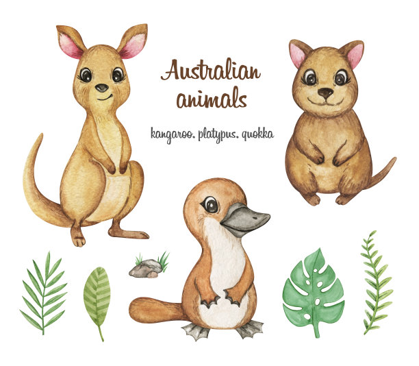 澳大利亚动物剪纸水彩画，袋鼠，短尾矮袋鼠，鸭嘴兽插图，手绘可爱的动物与热带植物图片下载