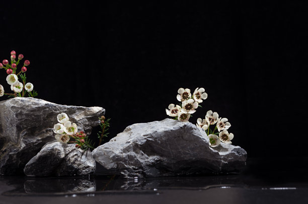 天然粗糙的石材裙台与温柔的春天白色小花和水在晚上的海滩展示包装和产品在黑色的背景。图片下载