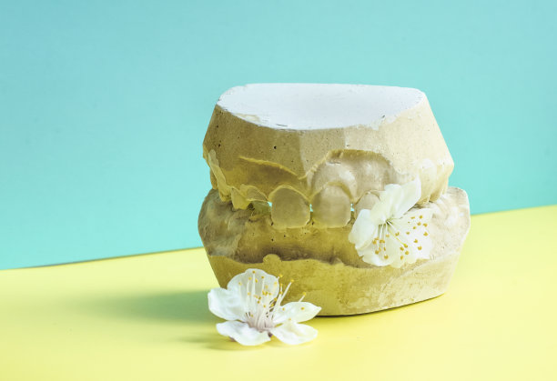 牙科石膏模型创意照片，蓝色和黄色背景上的人类颌骨和牙齿模型与花朵。用于制造假牙、牙套或假牙的牙科铸造石膏。图片下载