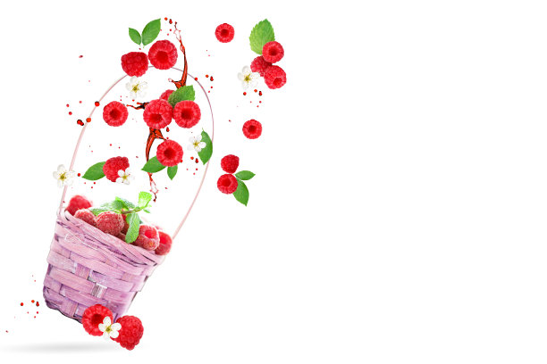 悬钩子悬在白色的背景上。在白色背景上孤立的物体。水平的。有选择性的重点。树莓的背景。图片下载