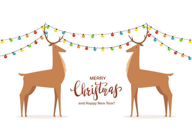 两只带着圣诞彩灯的鹿图片下载