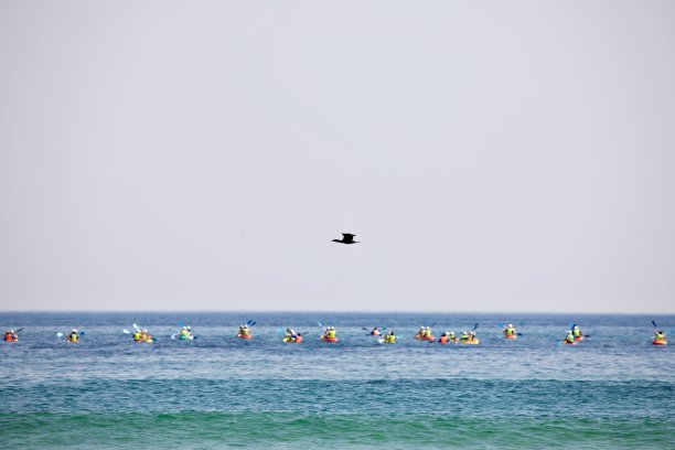 在拜伦湾的海滩上图片下载