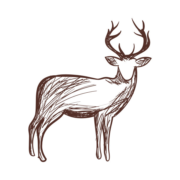 鹿设计草图图片下载