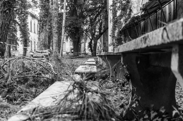 废弃的精神病院图片下载