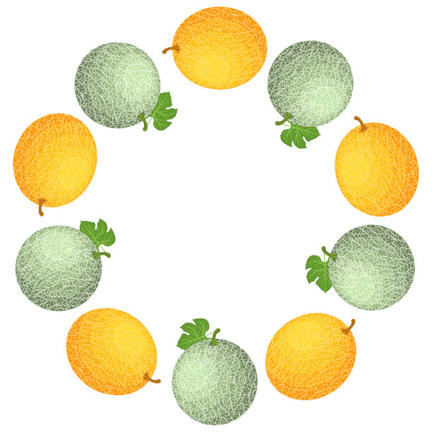 哈密瓜和哈密瓜的花环图片下载