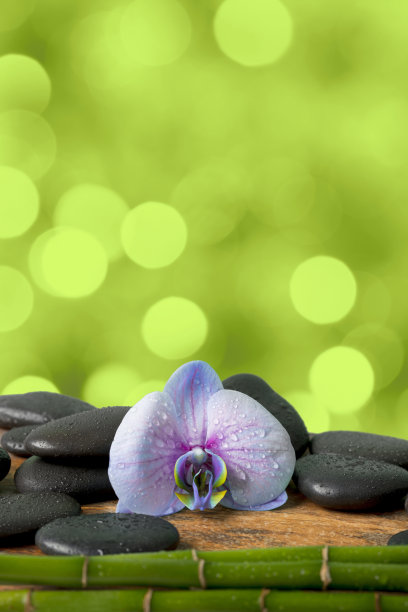 水疗概念-黑色按摩石，兰花花和竹茎在散焦灯光的背景图片下载