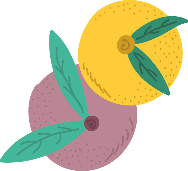 水果与叶片自然有机食品新鲜的图标图片下载