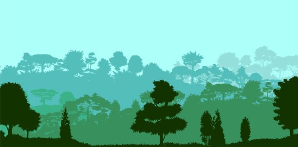 落叶林。轮廓。成熟,传播树。浓密的灌木丛。长满植物的小山。天空。向量图片下载