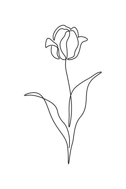 郁金香花图片下载