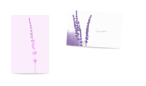 薰衣草分支,剪影图片下载