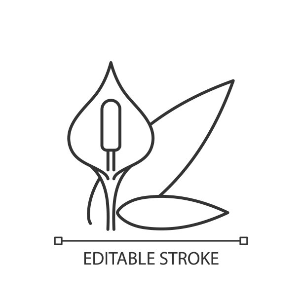 Spathiphyllum线性图标图片下载