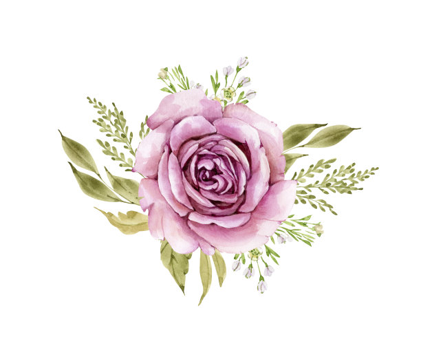 水彩玫瑰花束，粉红色的花孤立在白色的背景上手绘图片下载