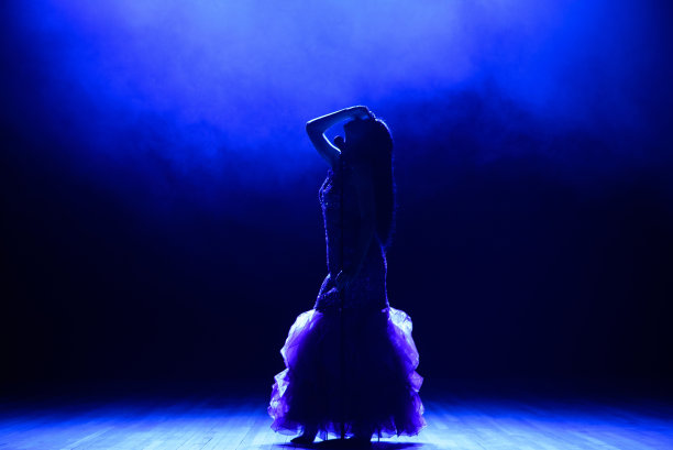 舞台上以烟雾为背景的女歌手剪影。图片下载