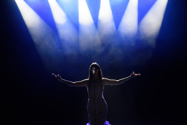 在舞台上用灯光表演的歌手。音乐会。礼堂的景色。图片下载