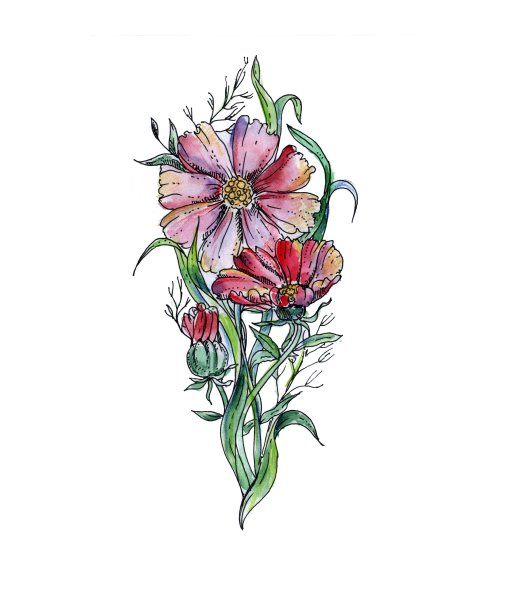 红色手绘水彩花卉装饰与宇宙花。草图。图片下载