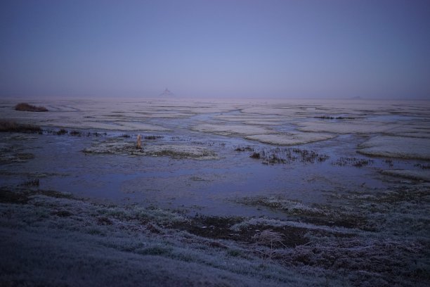 日出时圣米歇尔山海湾的美丽景色。图片下载