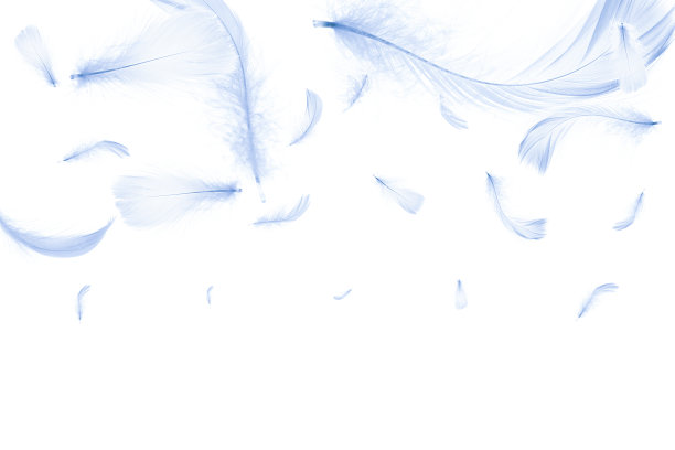 羽毛孤立。图案摄影中抽象的鸟类羽毛纹理特写落在白色的背景上。敏感性的概念对自然的反应。图片下载