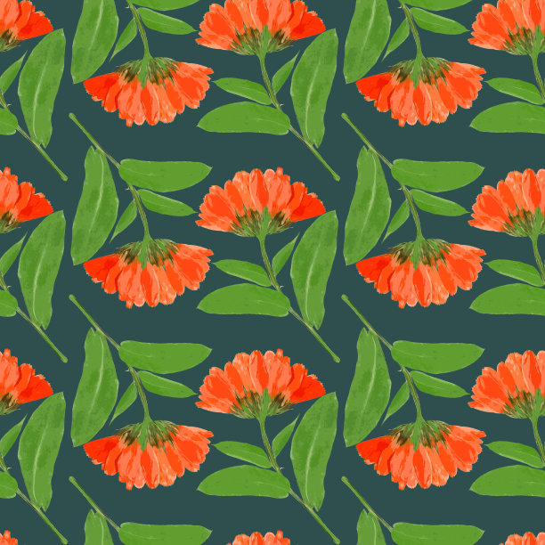 万寿菊,金盏花。插图，花的纹理。用于连续复制的无缝模式。花卉背景，照片拼贴为纺织品，棉布面料。用于墙纸，封面。图片下载