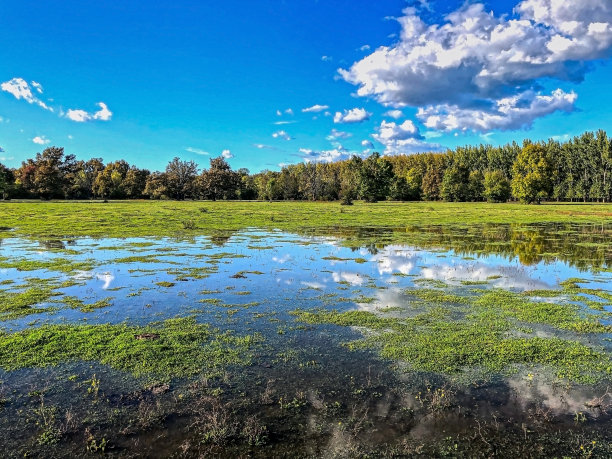 龙吉科·波尔里自然公园图片下载