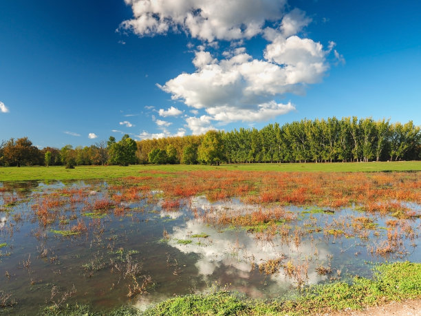 龙吉科·波尔里自然公园图片下载