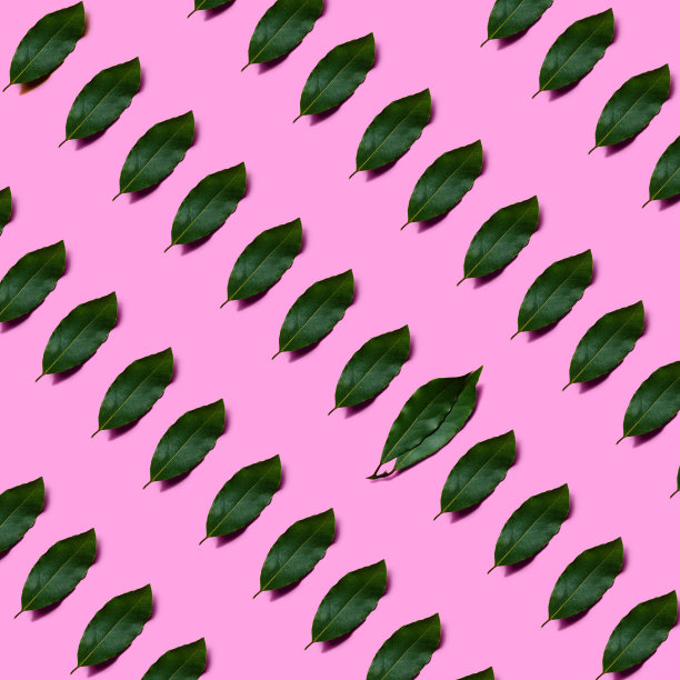 图案与绿色月桂叶在柔和的粉红色背景。最小的装饰为印花。植物安排的情人节概念。图片下载