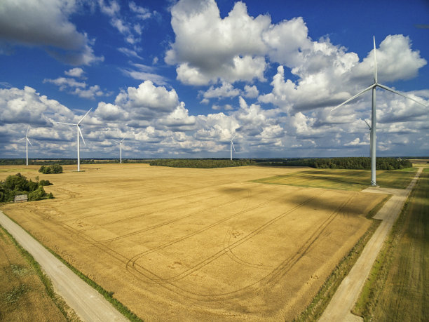 立陶宛Mazeikiai地区的风车和麦田景观。图片下载