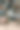 仓鼠派对-仓鼠图片下载