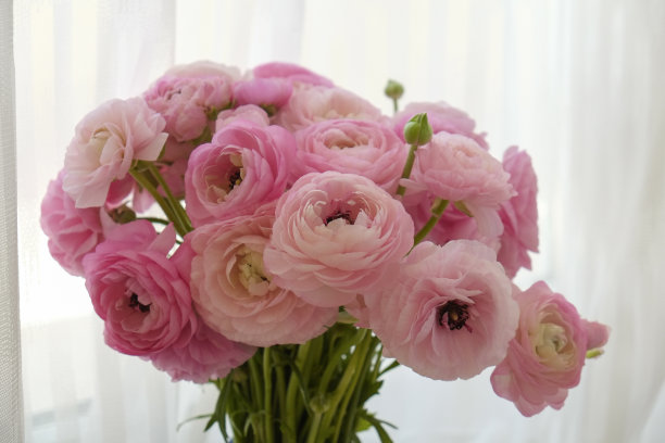 春暖花开的季节图片下载