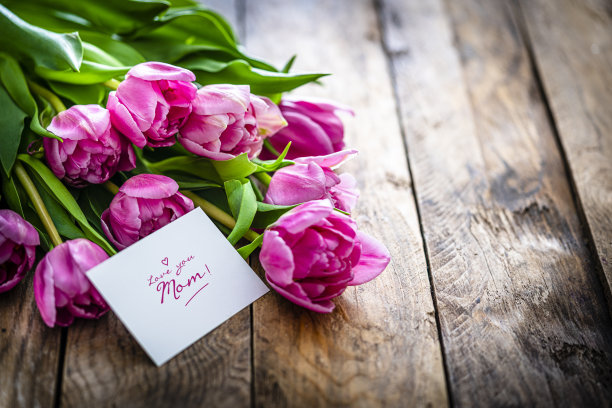 粉色郁金香和母亲节贺卡图片下载