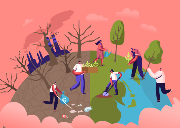 更新造林和植被的生态概念图片下载