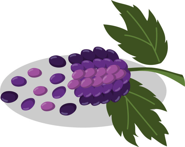 葡萄成串果实，颜色平坦，叶子平坦图片下载