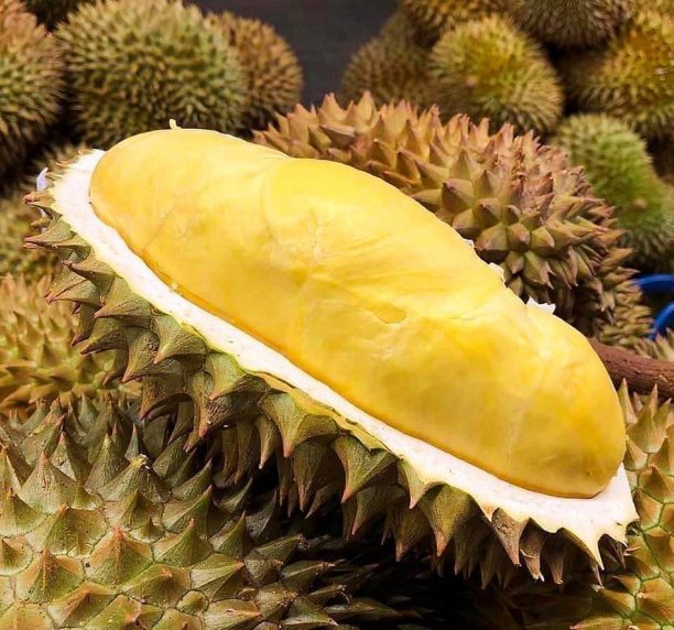 榴莲图片下载