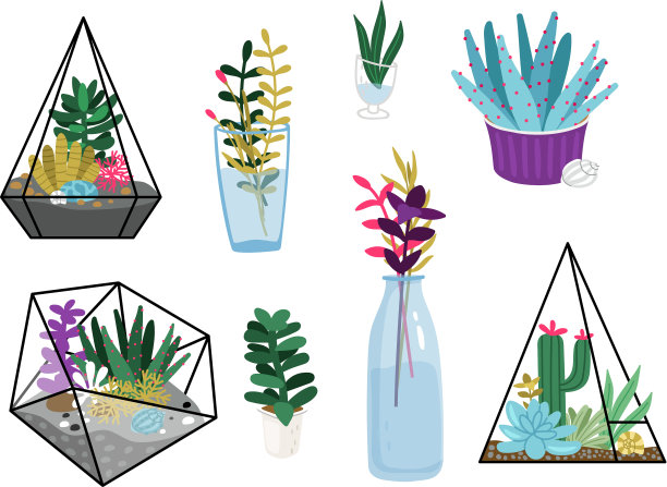 多汁植物组图片下载