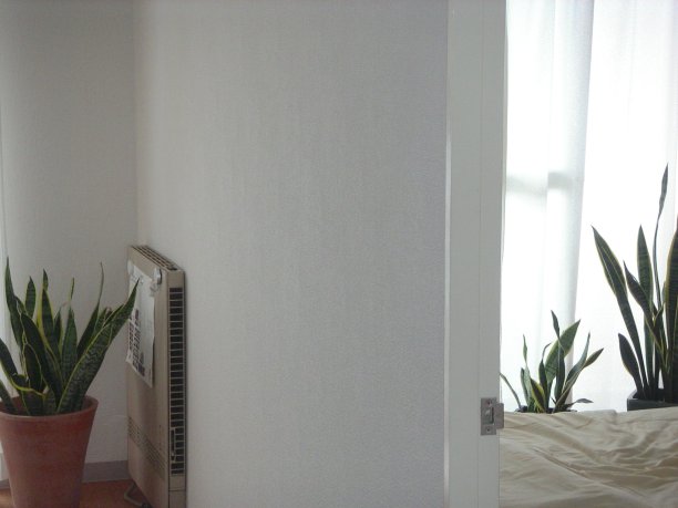 最小的室内装饰。图片下载