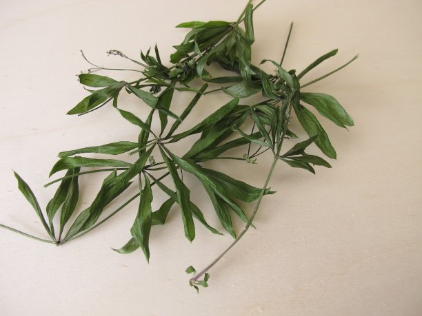 木板上的干木屑图片下载