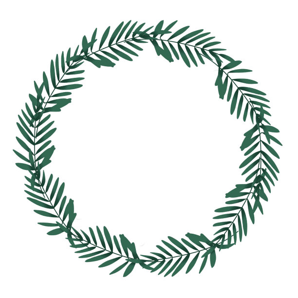 用橄榄枝做成的装饰性花环。手绘插图，孤立，白色背景图片下载